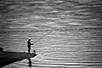 У сутон на Борском језеру (Фото: Жељко Синобад)